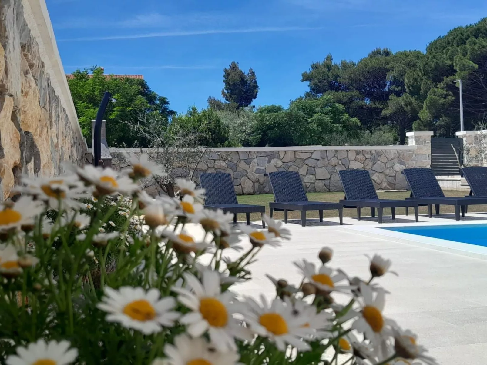 Neue Luxusvilla mit Pool - Agentur TA Leut-Image-tags.info