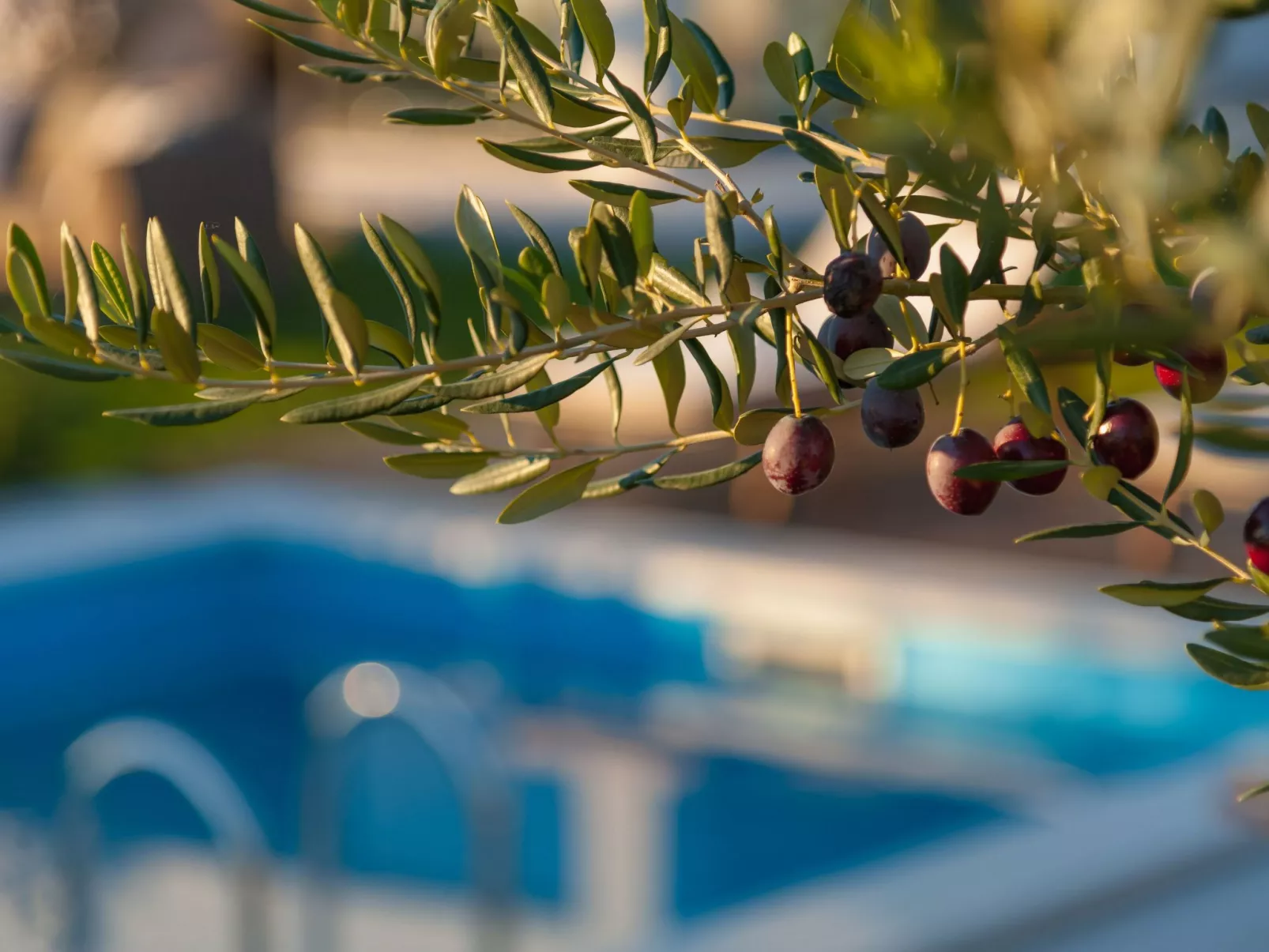 "Olive Garden"-Buiten