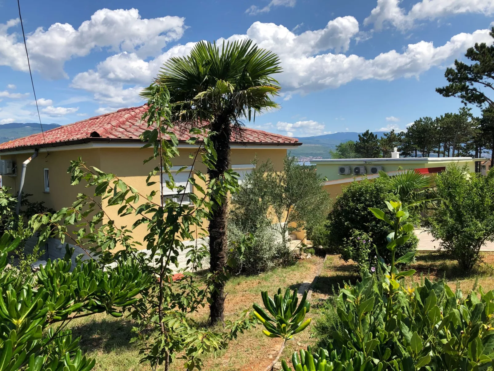 Mit grünem Garten und Meerblick - Buiten