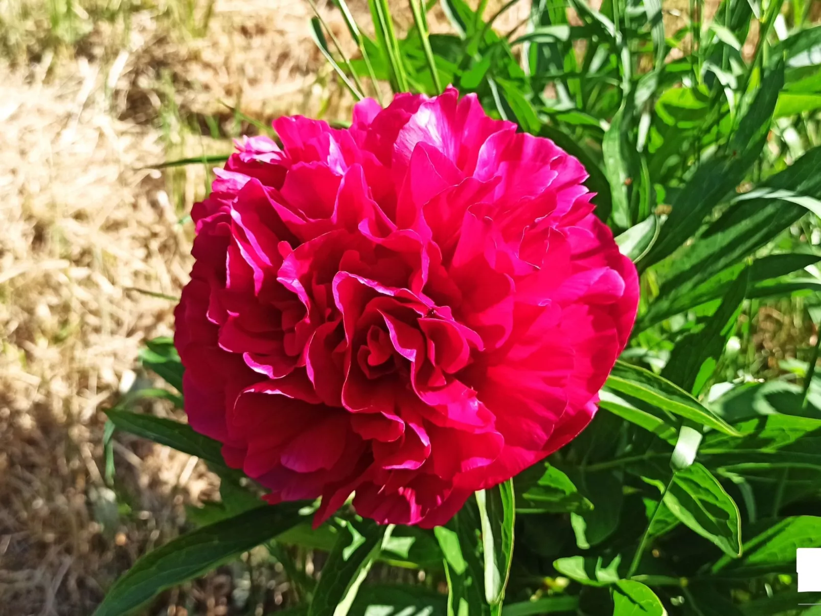 Authentisches Fachwerkhaus am Rande des Waldes-Buiten
