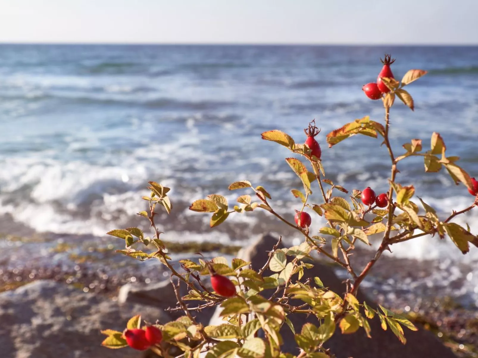 Dat Lütje 516-Binnen