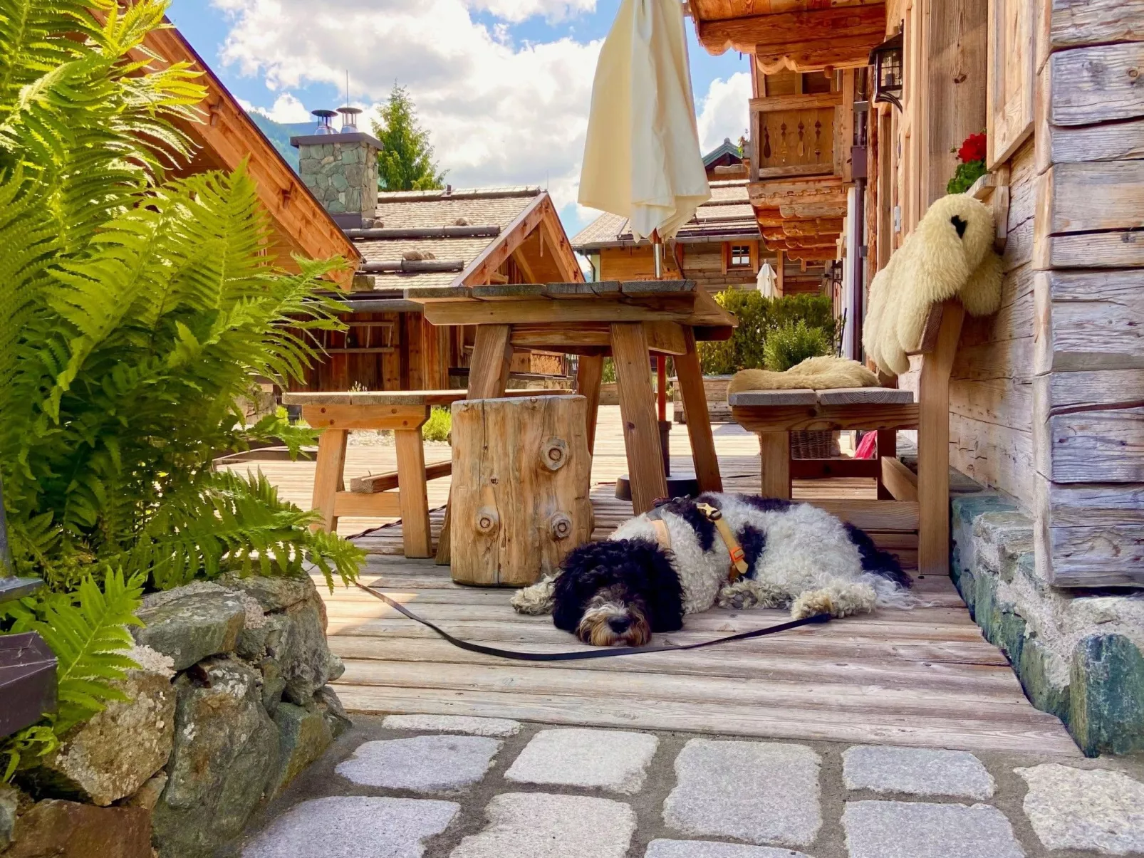 Chalet Promi-Alm in Flachau-Buiten