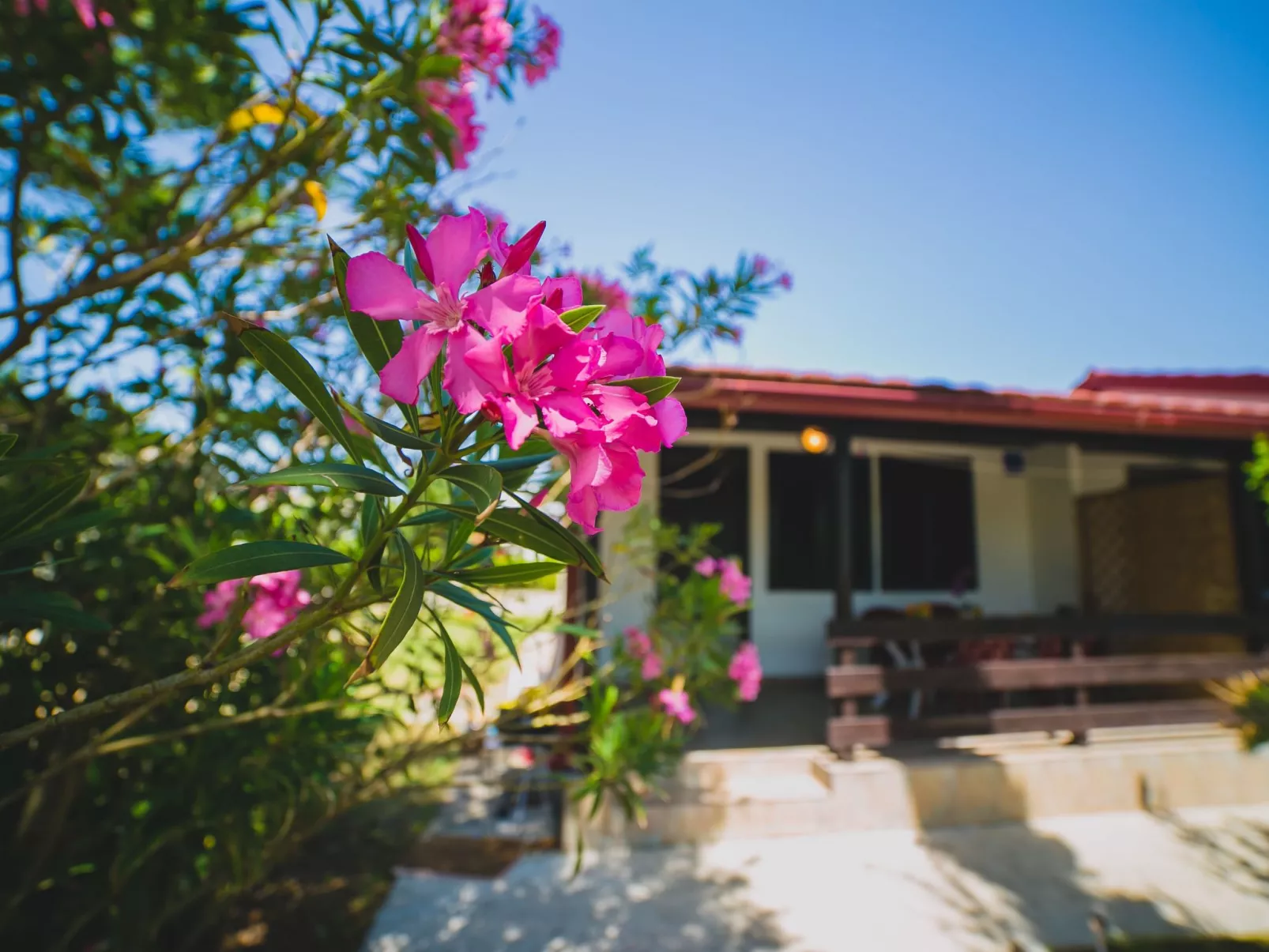 Gelassenheit am Meer 1-Image-tags.info