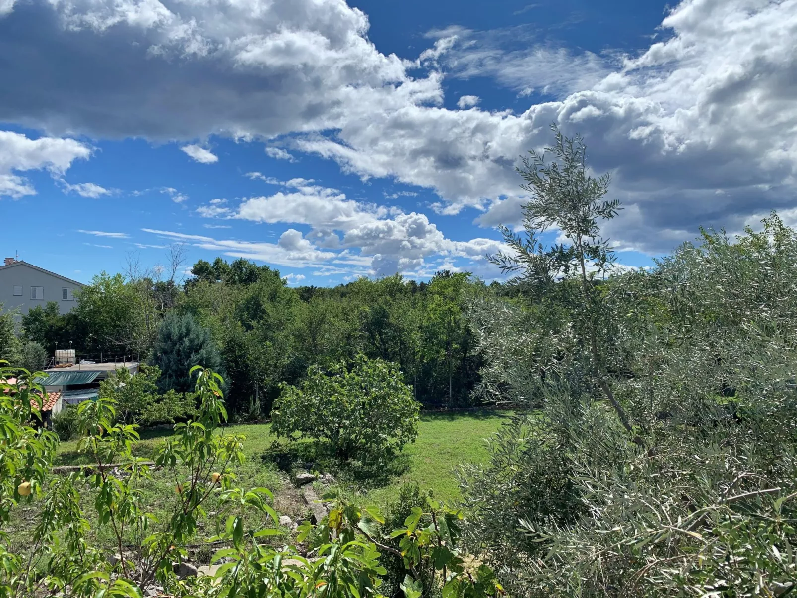 Apartment Horvat-Buiten