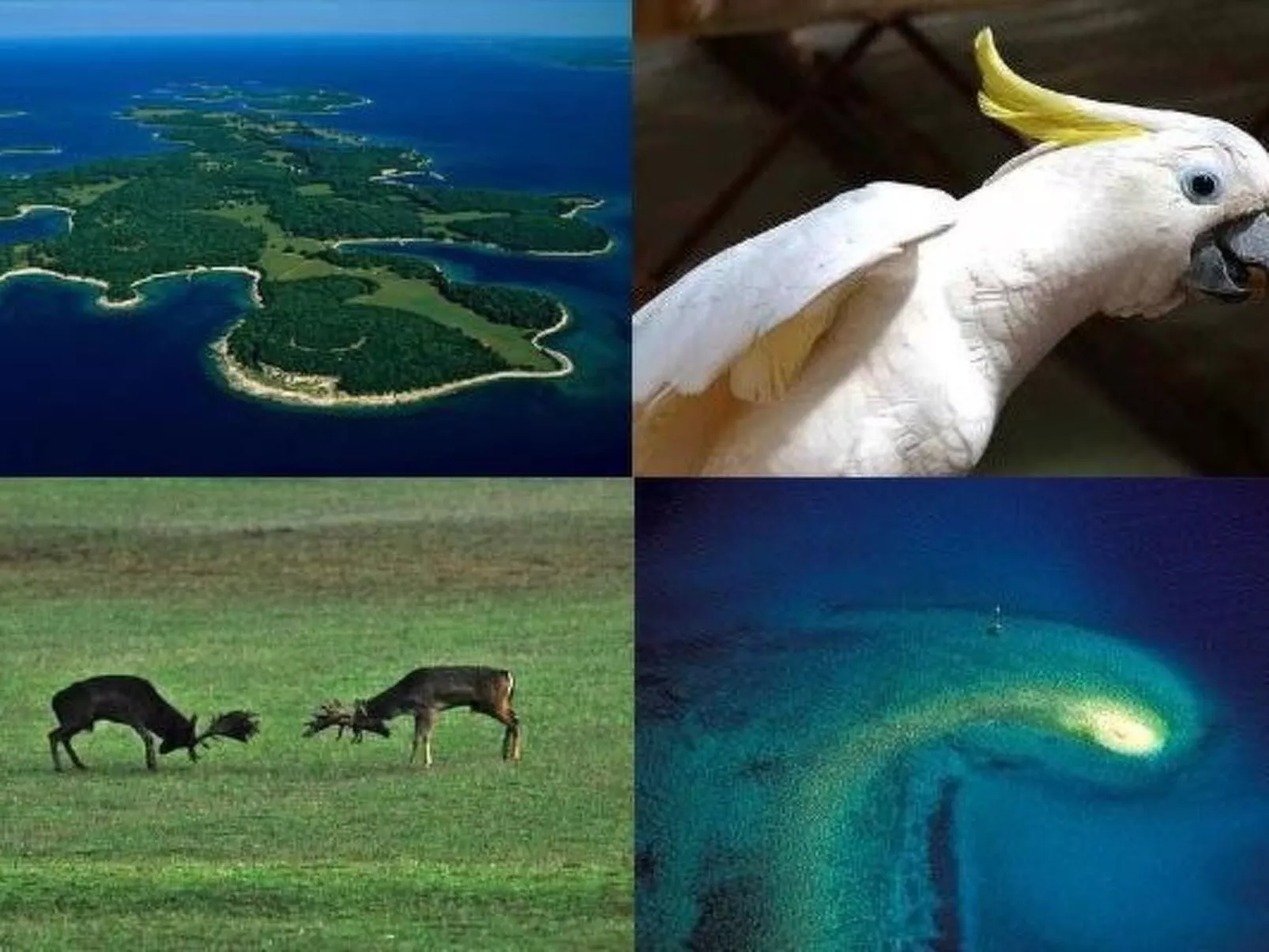 Villa Grofica, beheizter Pool, Taverne, Strandnähe-Image-tags.info