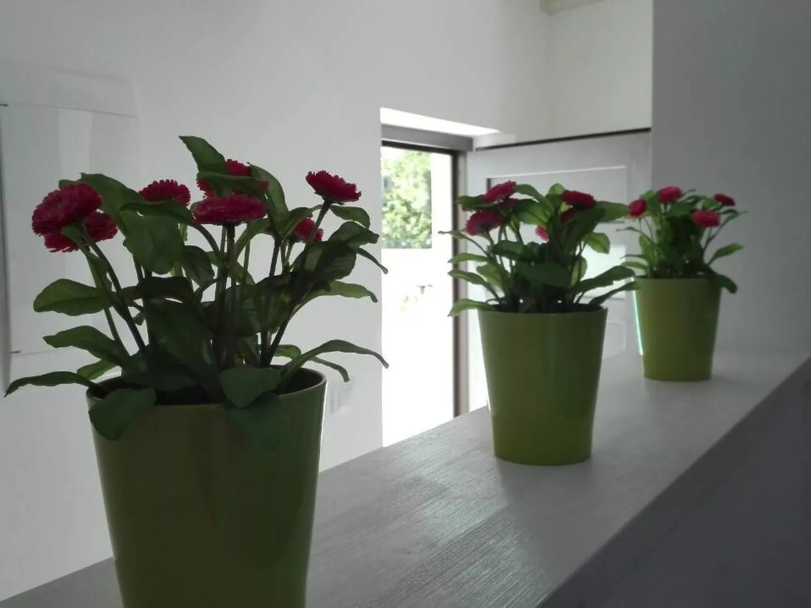 Wellness und Spa Villa Stella, in der Nähe von Stränden - Meer-Binnen