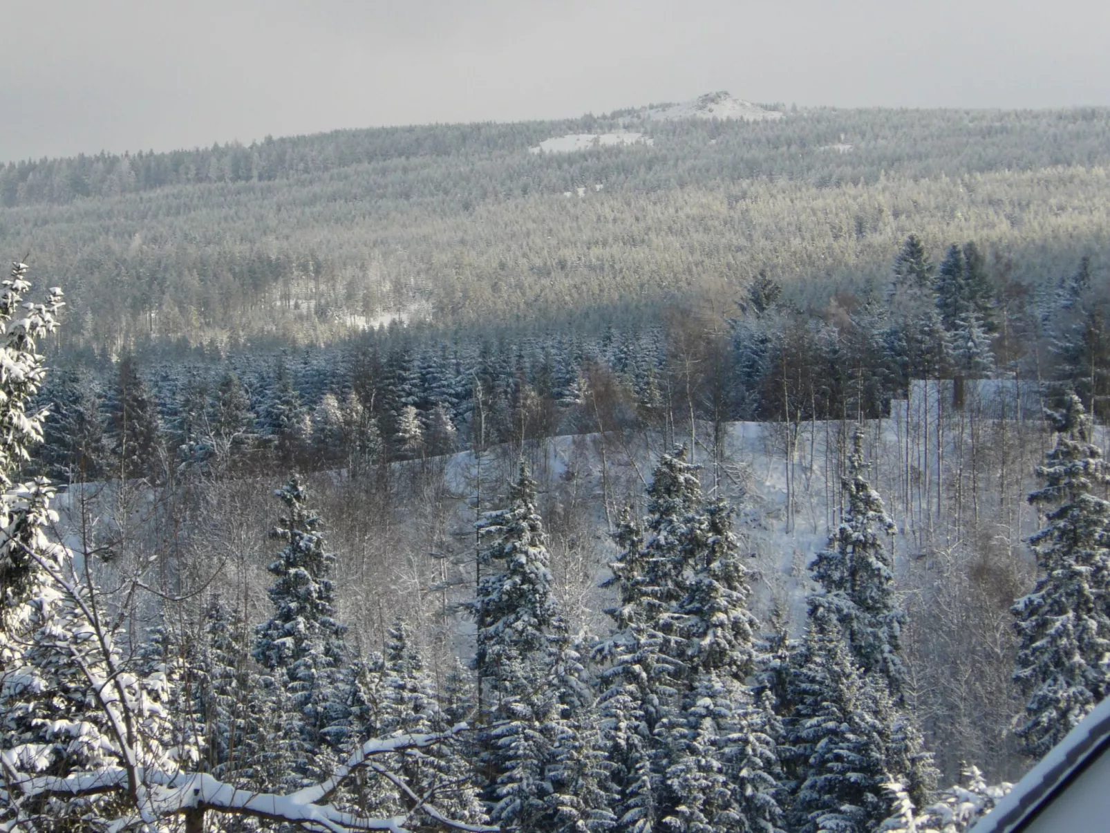 Vier Jahreszeiten 6-Buiten