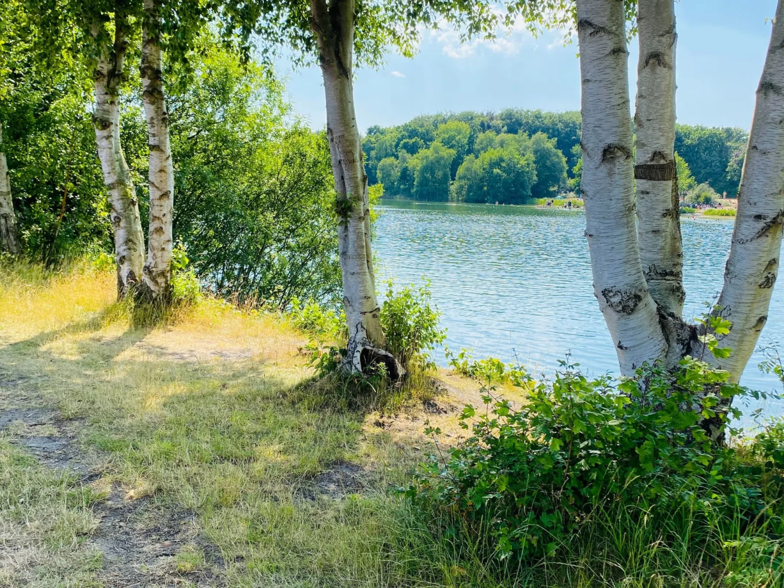 Bungalow Waldglück-Buiten