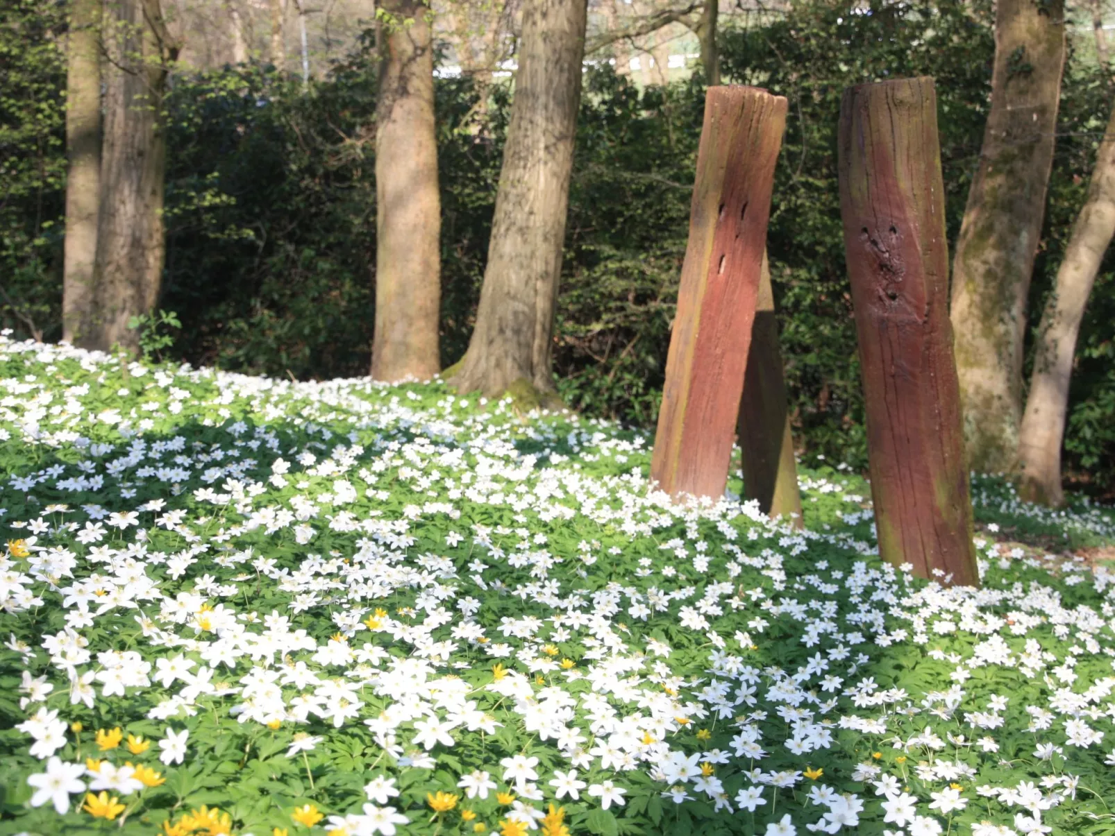Wohlfühloase für Natur- und Gartenliebhaber-Buiten