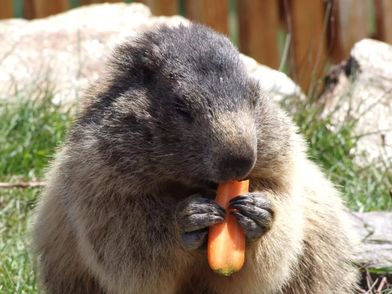 Haus Mondelli-Binnen