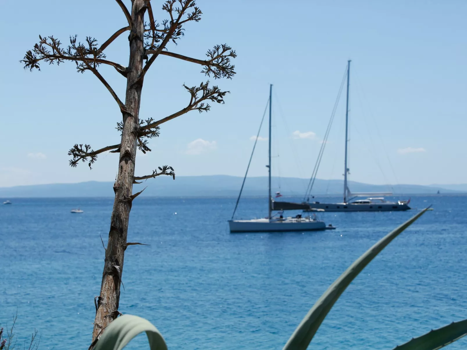 Für 5 Personen ca. 65 m&sup2; in Okrug Gornji, Adriaküste Kroatien (Kroatische-Buiten