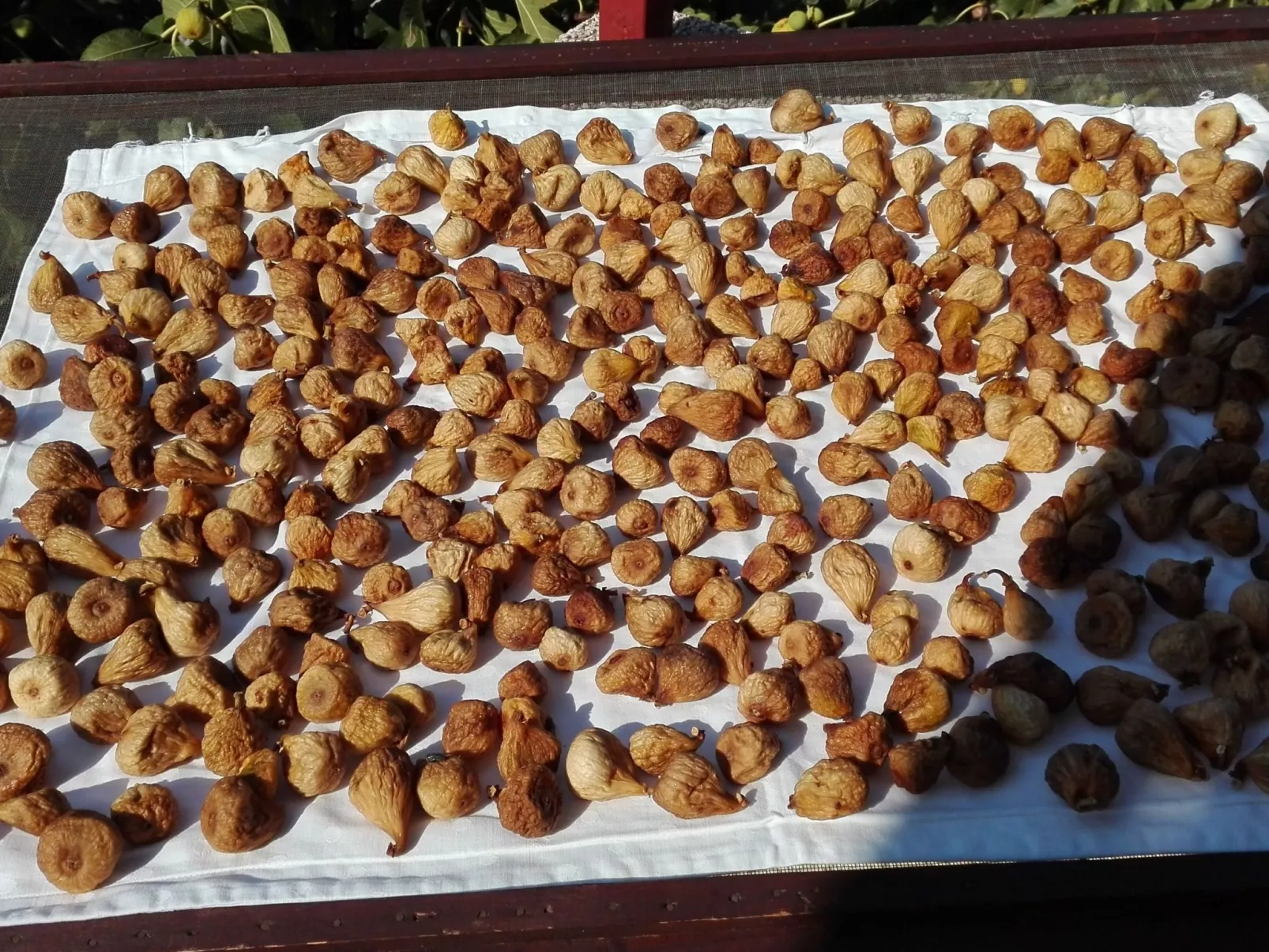 Wohnung mit Balkon und Meerblick-Image-tags.info