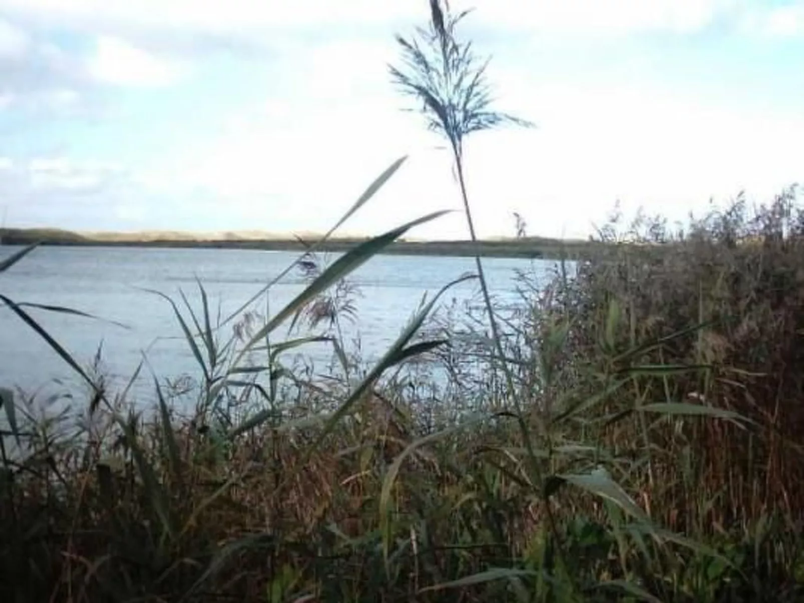 Gemütliches Ferienhaus De Blenck-Buiten
