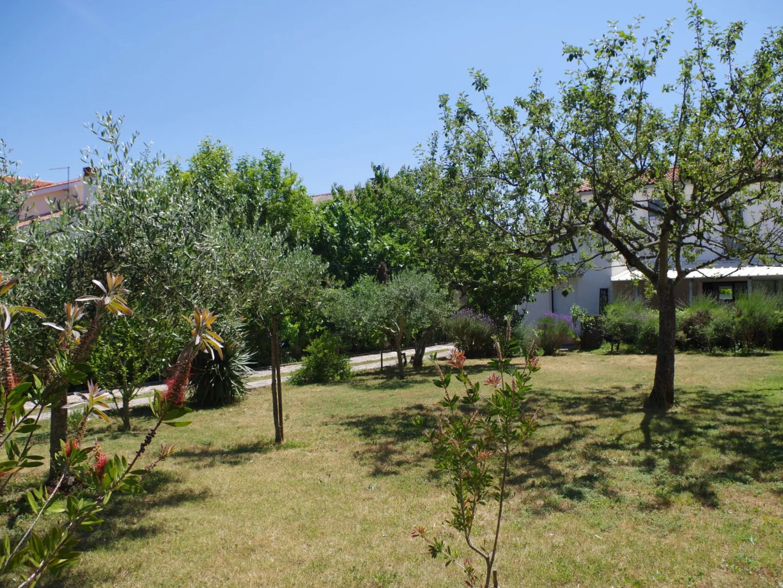 In Premantura-Buiten