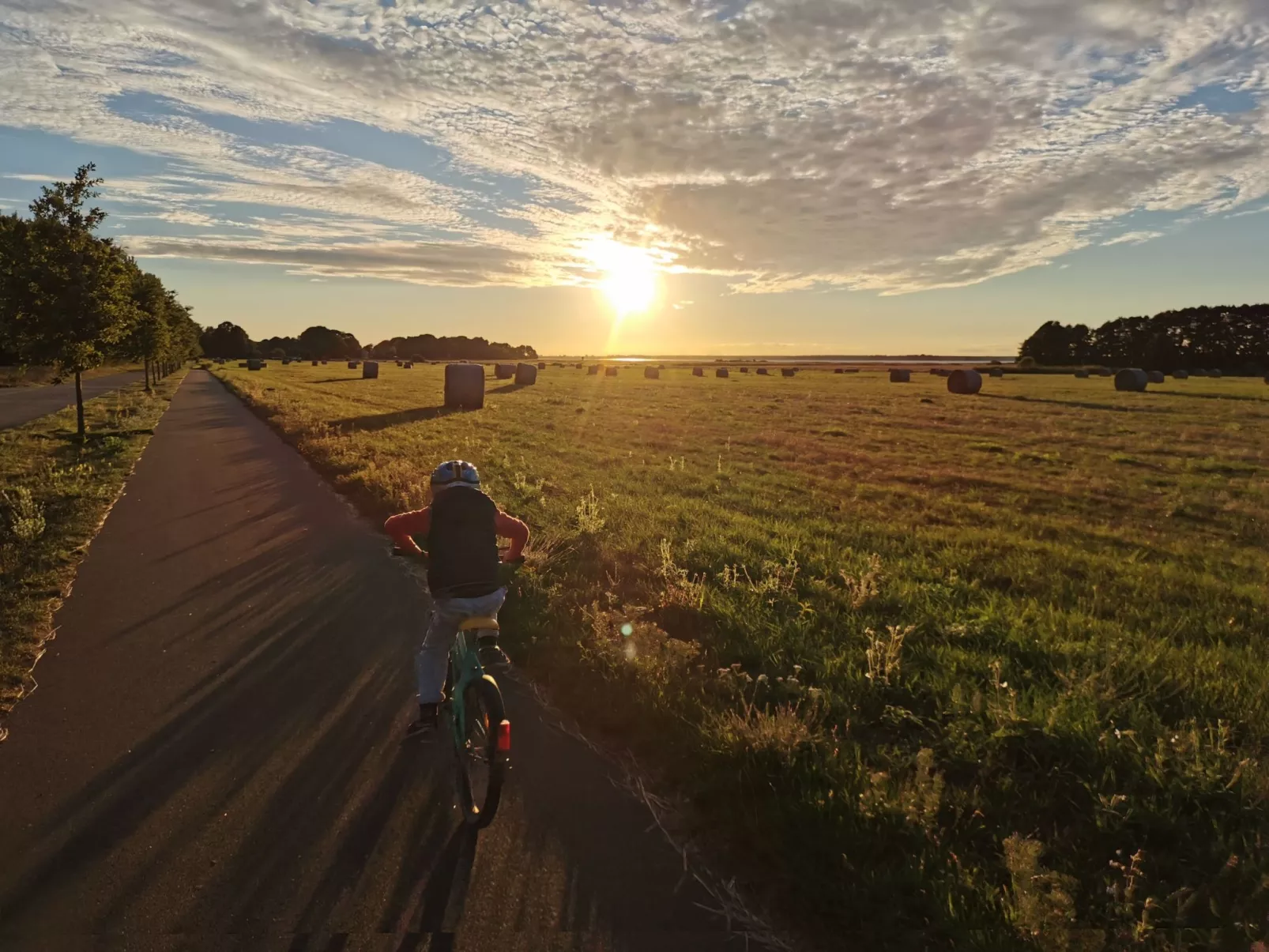 Amsel und Drossel-Buiten