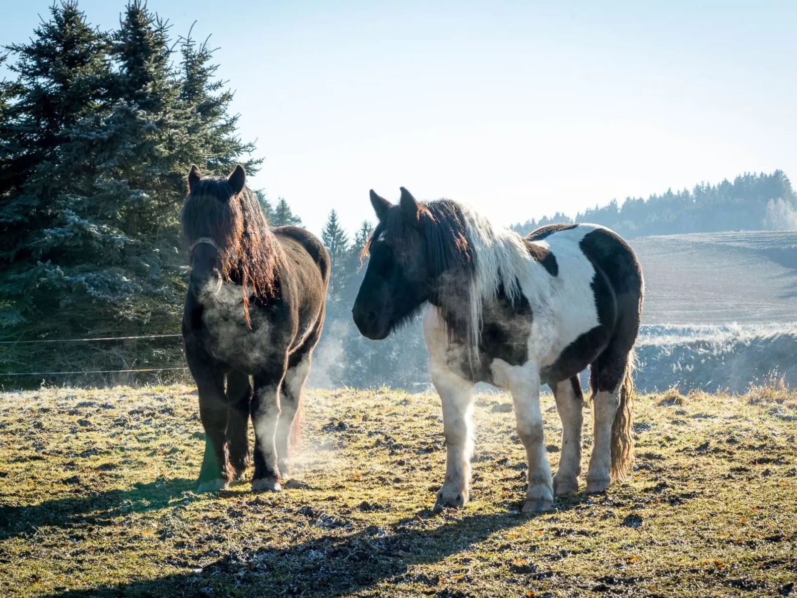 FORSTGUT - Raum für wertvolle Zeit-Buiten