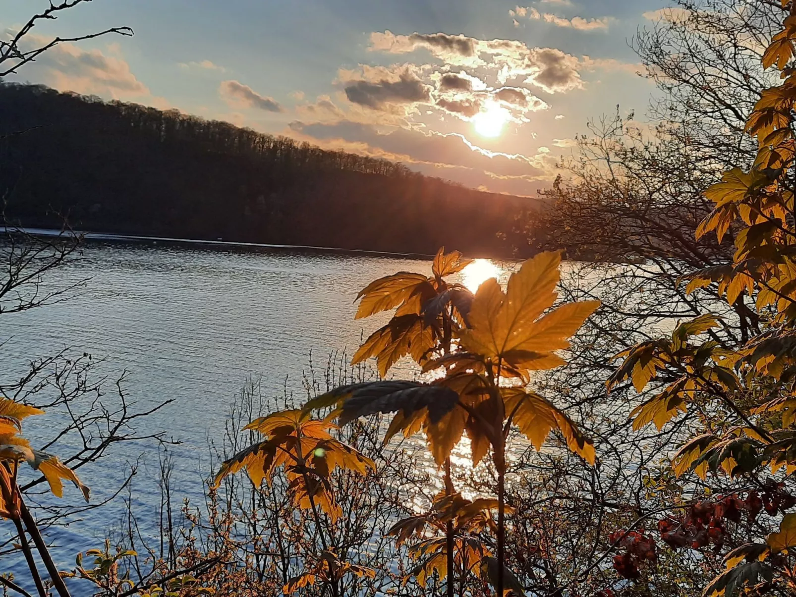 Mit Liebe ausgestattetes Haus im Naturpark-Image-tags.info