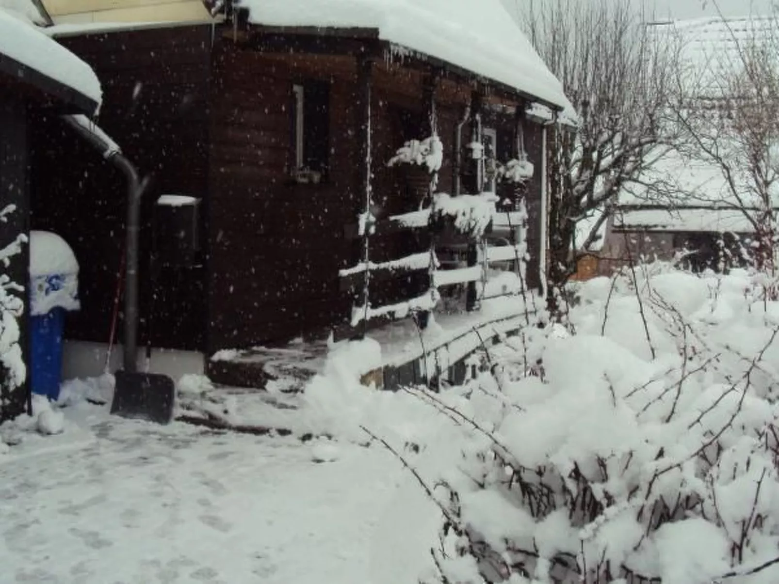 Drabik-Image-tags.info