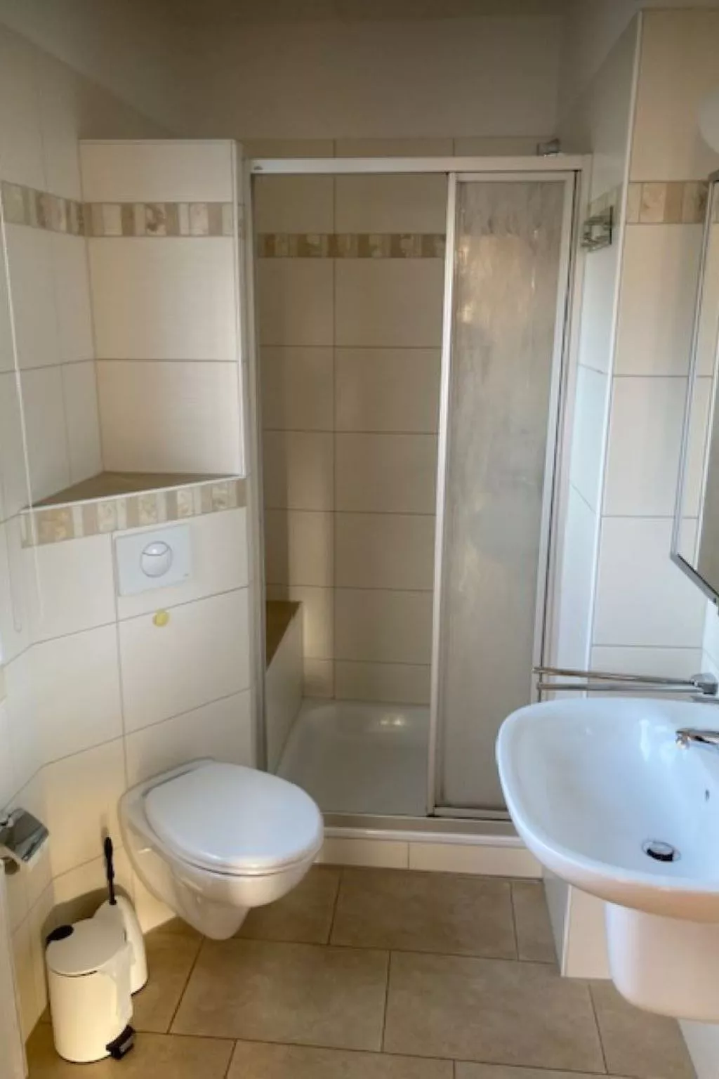 Seerobbe in Norden-Image-tags.info