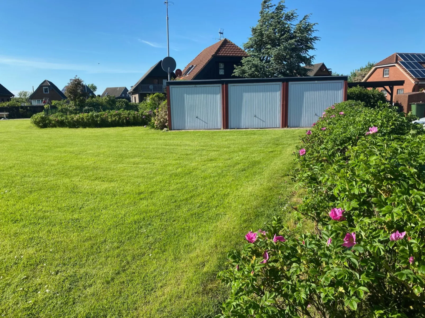 Heimathafen Friko-Image-tags.info