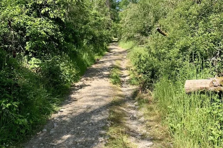 Heurelijk-Gebieden zomer 5km