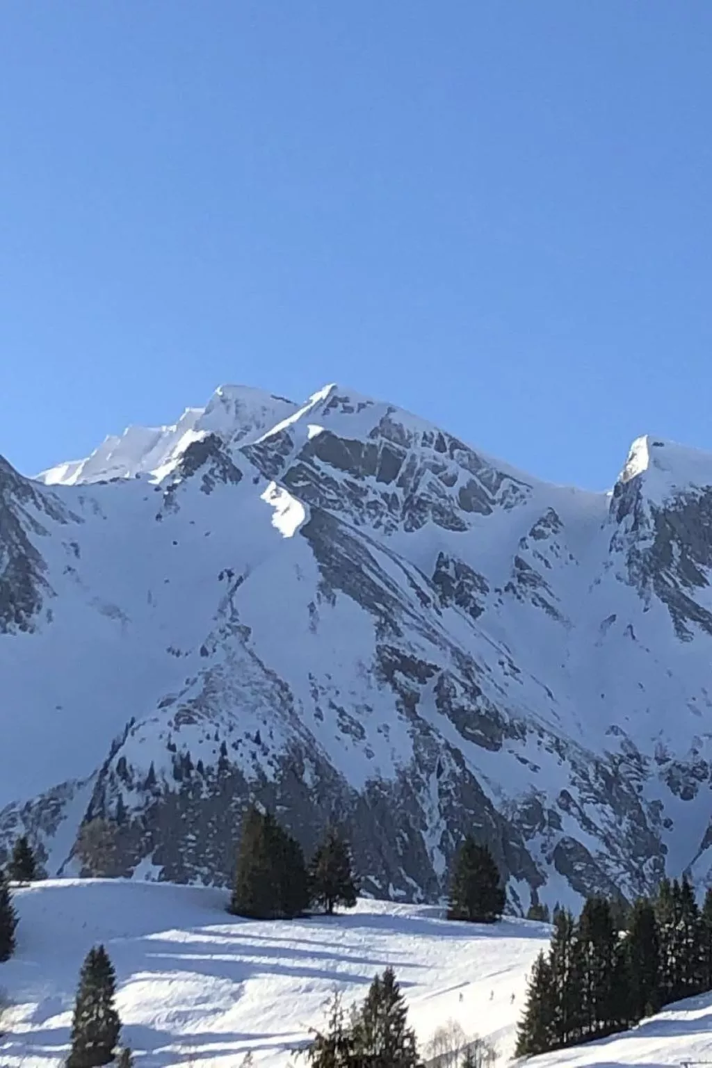 Berg-Ferienwohnung  im Chalet  Zirbeli-Image-tags.info