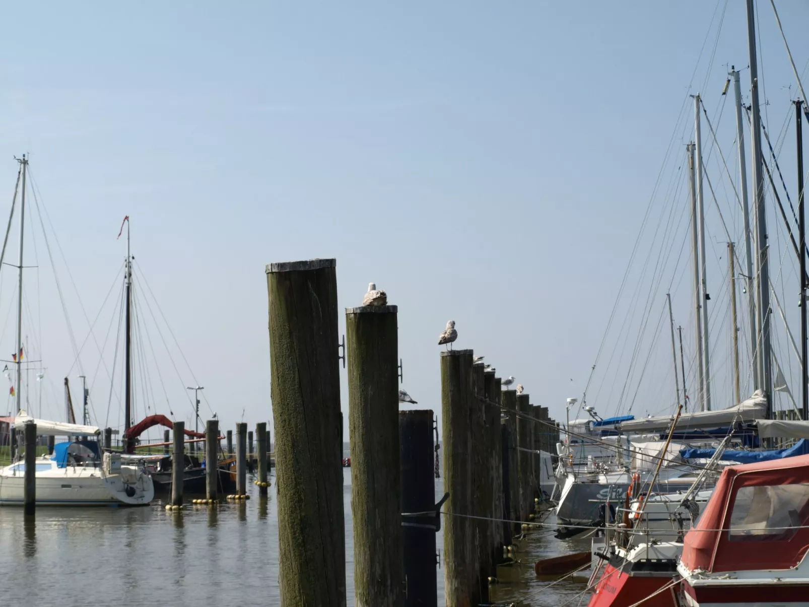 Mit Terrasse, Grill und Garten-Image-tags.info