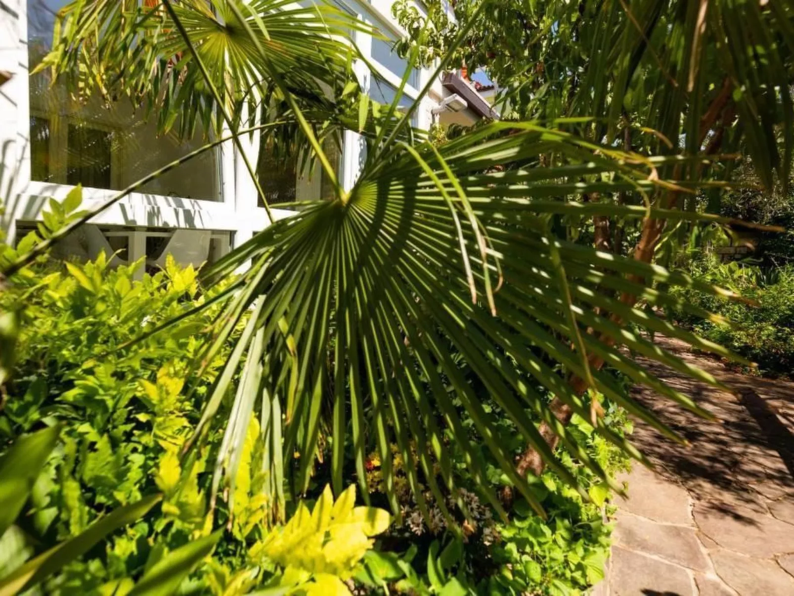 Wohnung in Lucija mit Garten-Buiten