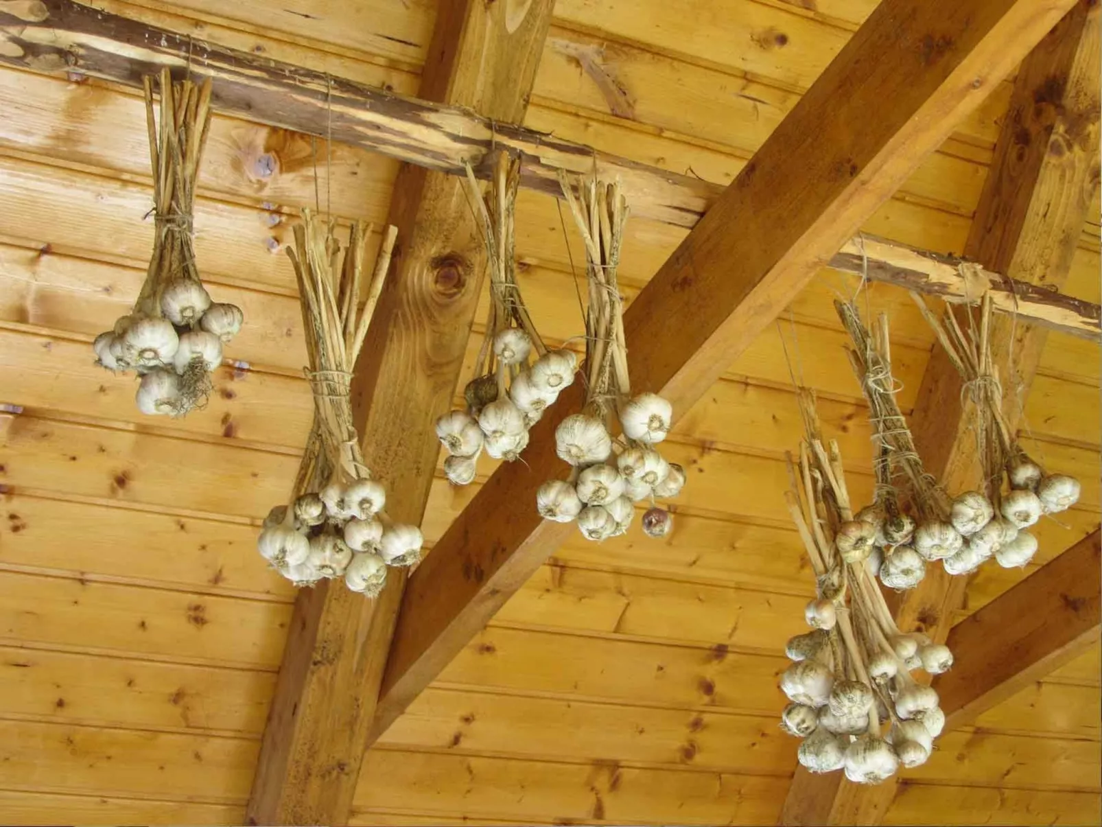 Geräumiges Ferienhaus inmitten der Natur-Binnen