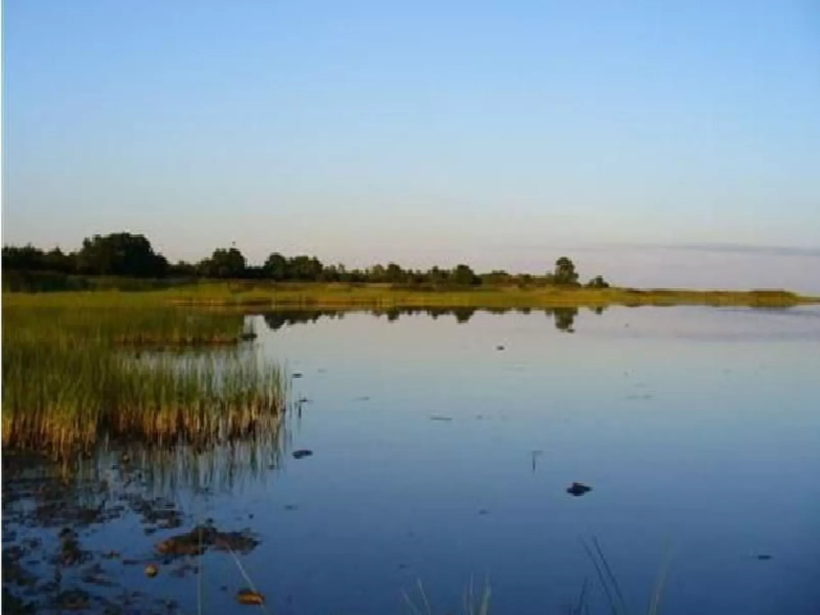Fachwerkhaus "Kärbi"-Buiten