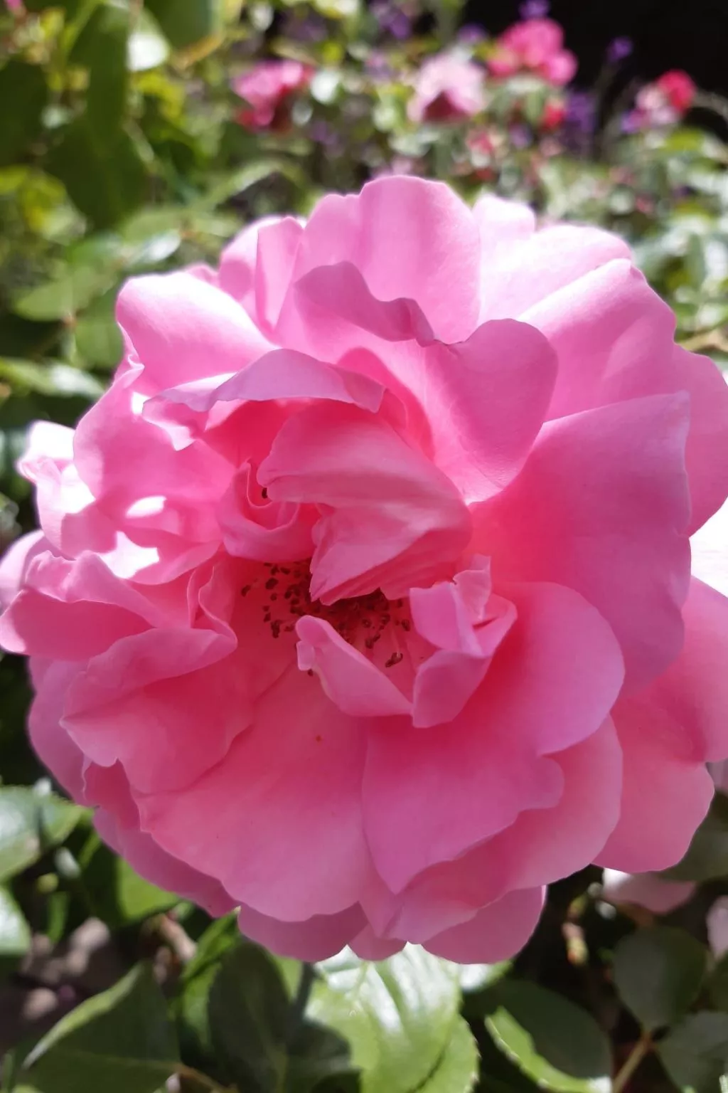 Finca "Motje" mit Aussicht-Buiten