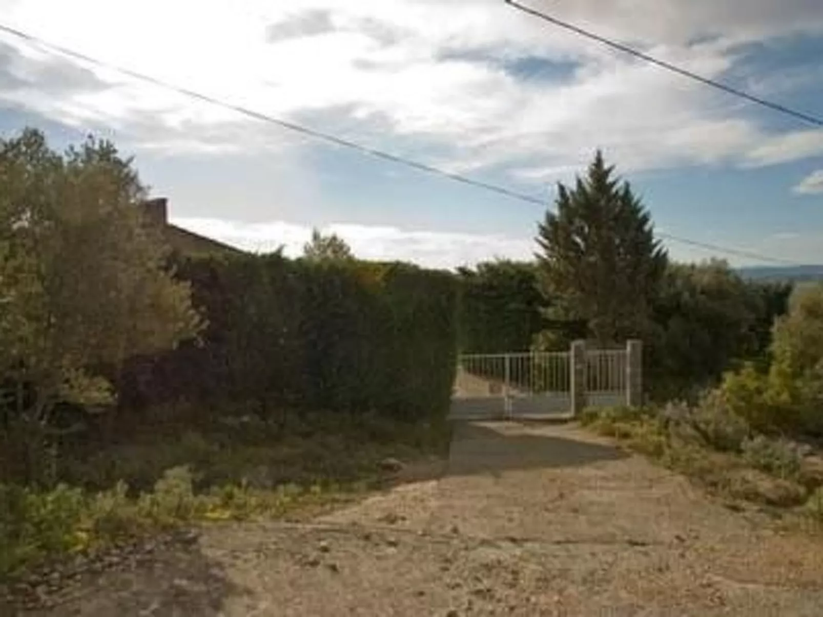 Die kleine Zikade-Buiten