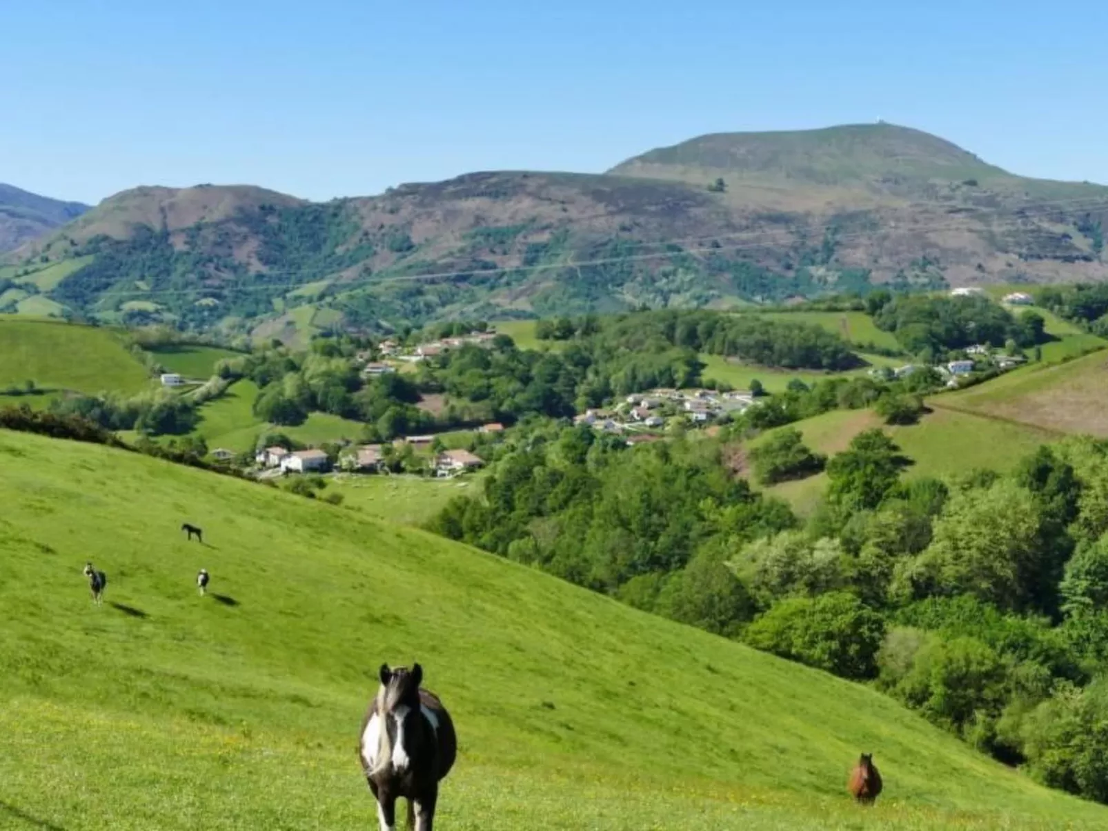 URSUYA-Image-tags.info