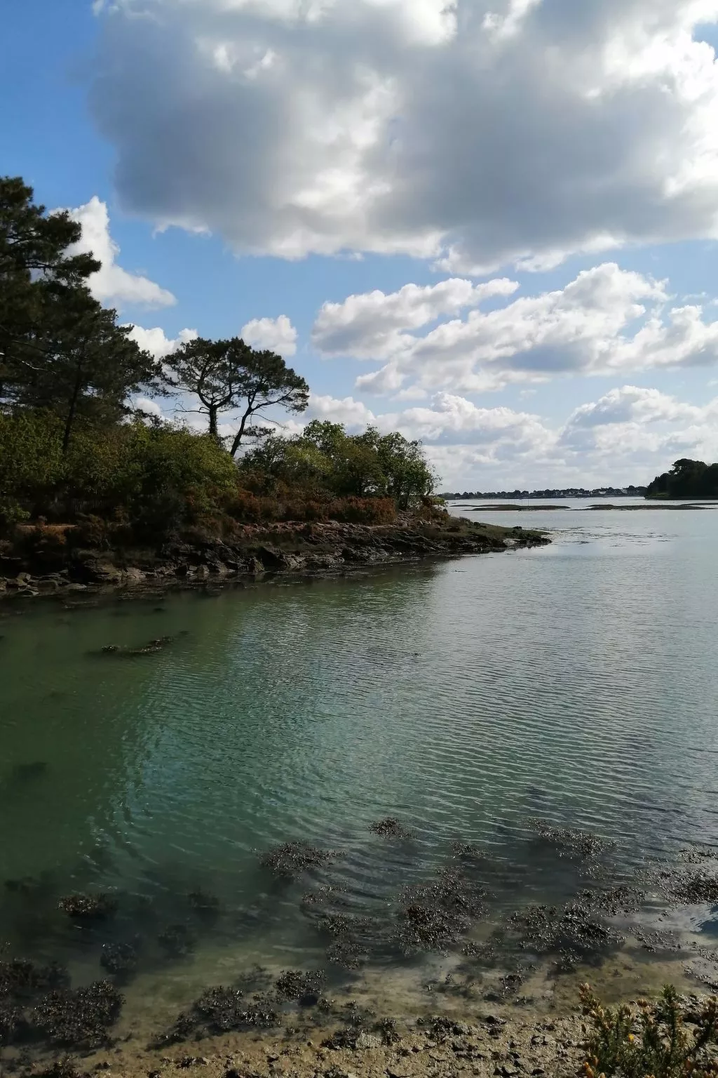 Bretagne Loctudy Haus Les Camélias 3 Personen-Buiten