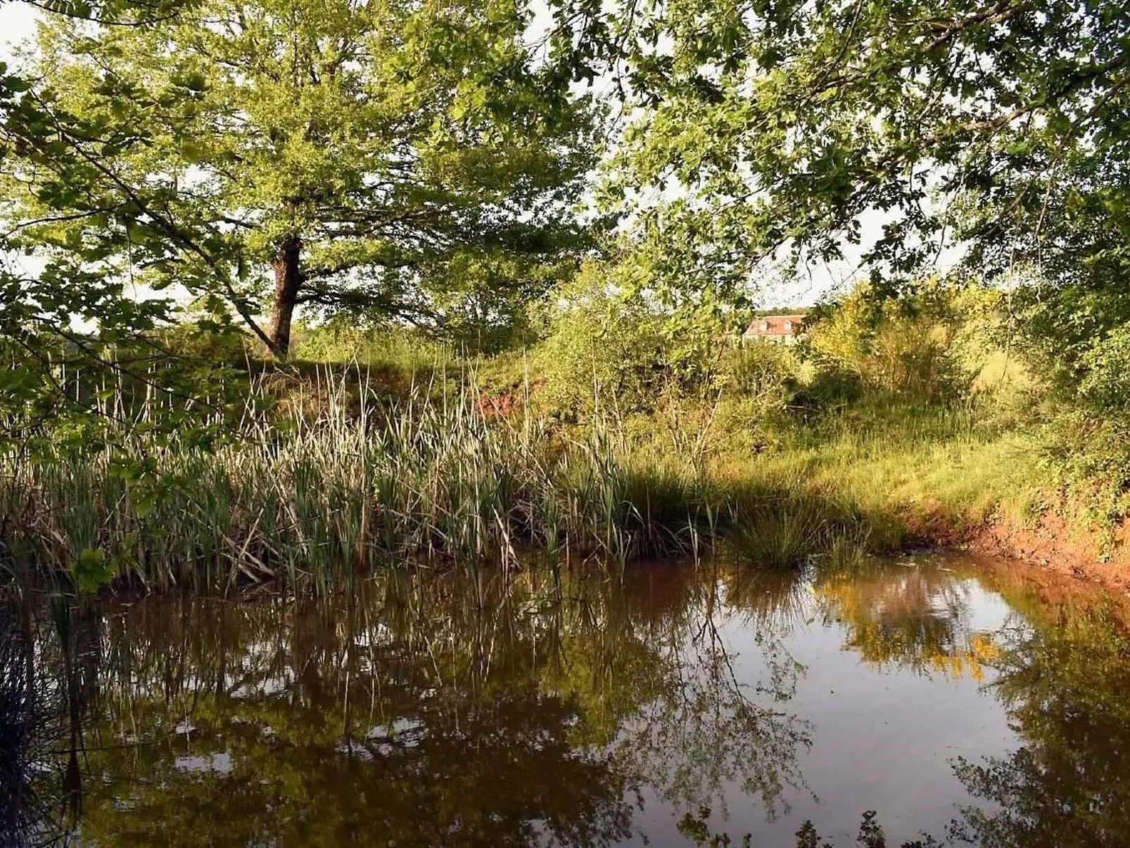 Domäne "Domaine de Ravel"-Buiten