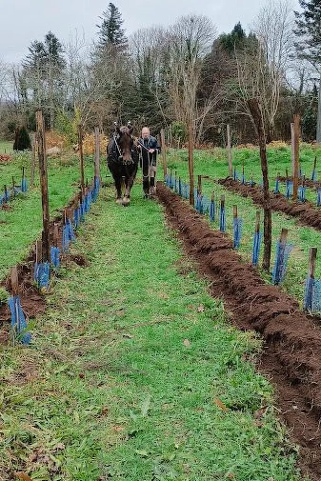 Hütte für vier Personen-Image-tags.info