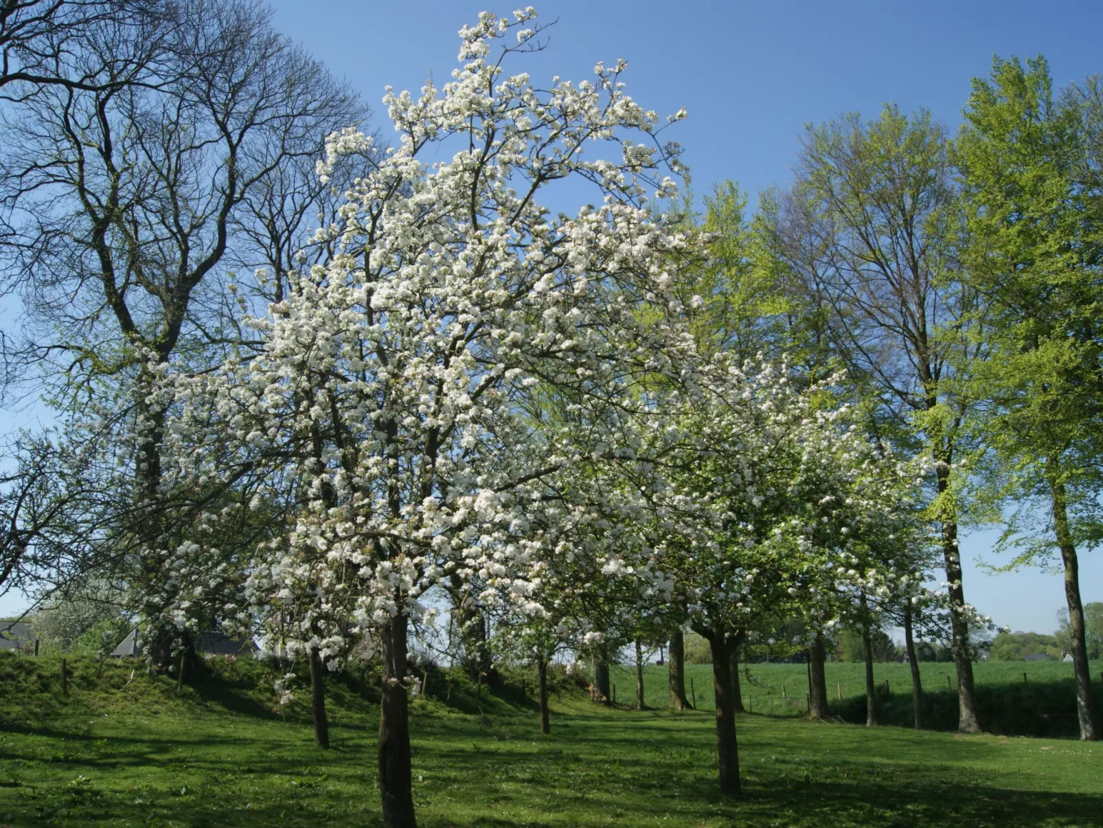 Charmante normannische Ferienwohnung Les chataigniers 2 Zimmer-Buiten
