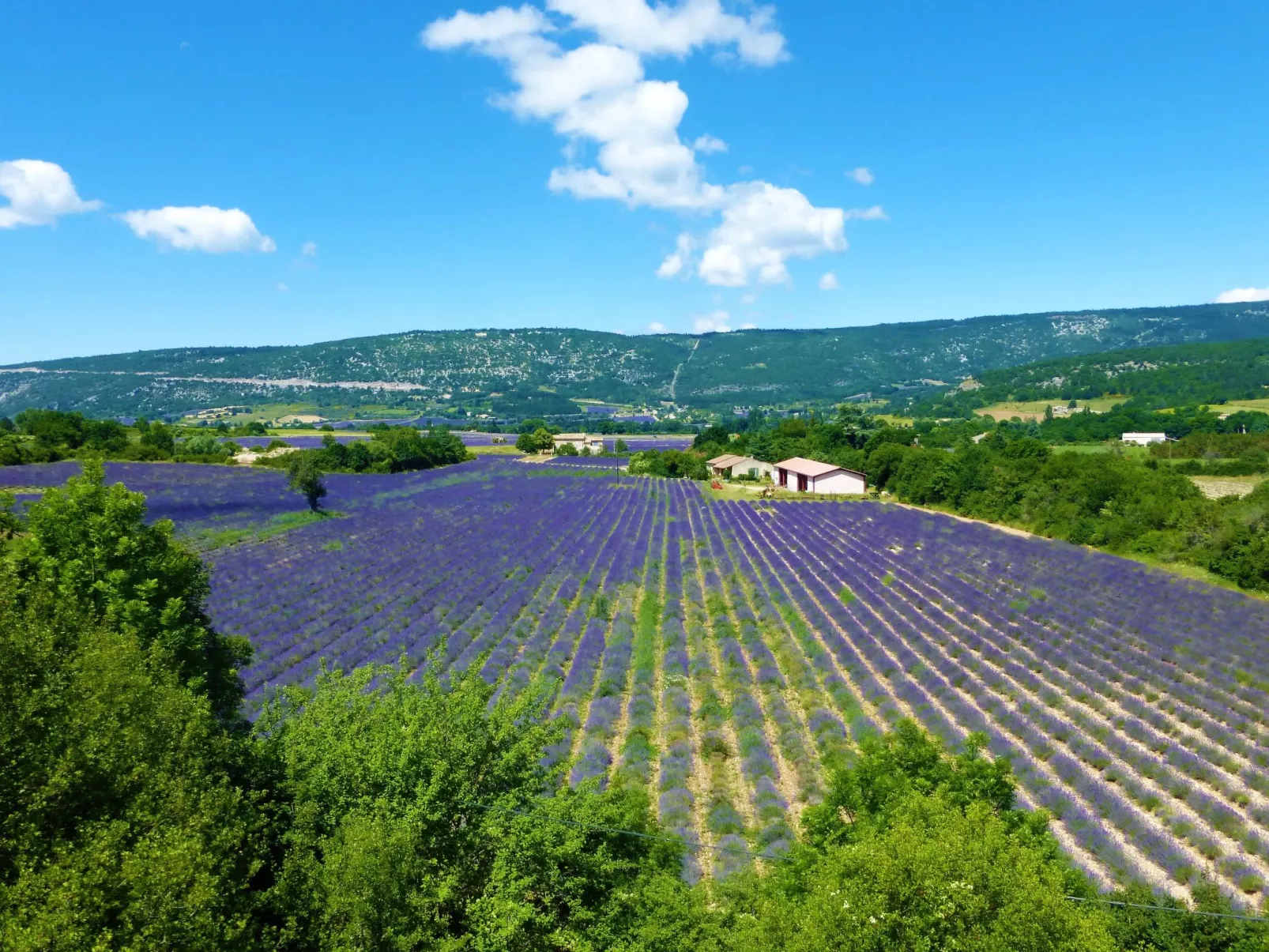Provenzalisches Haus mit Pool und Garten-Buiten