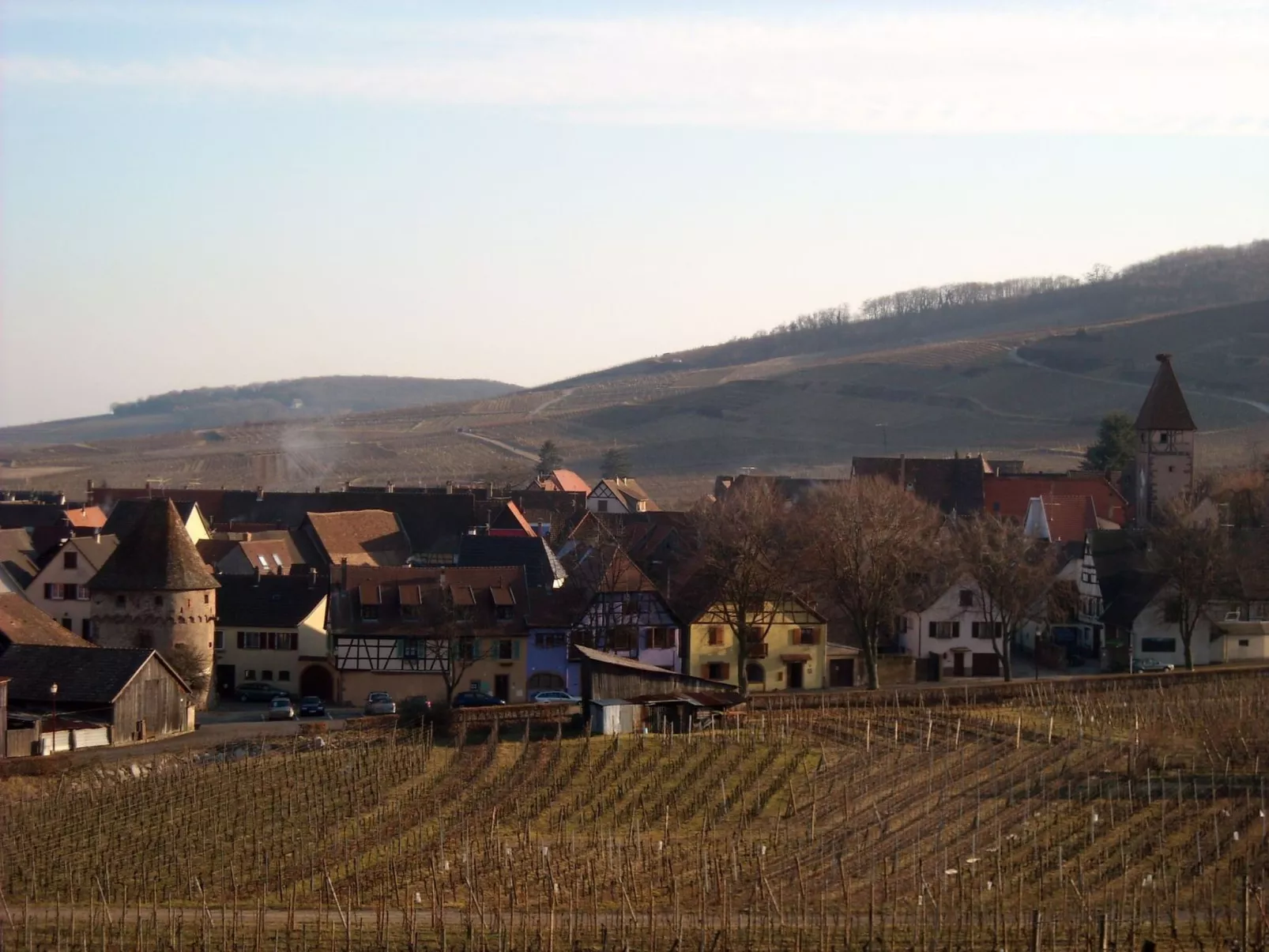 2ed-Face Vosges,im Süden,Herz Weinberg,Ruhig,WiFi-Buiten