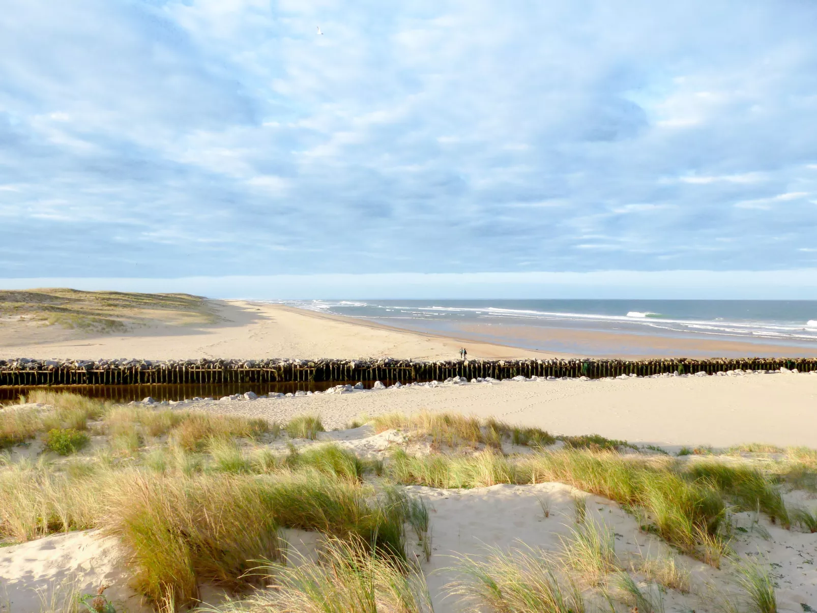 Wohnung "Contis Plage" in der Nähe des Strandes-Omgeving