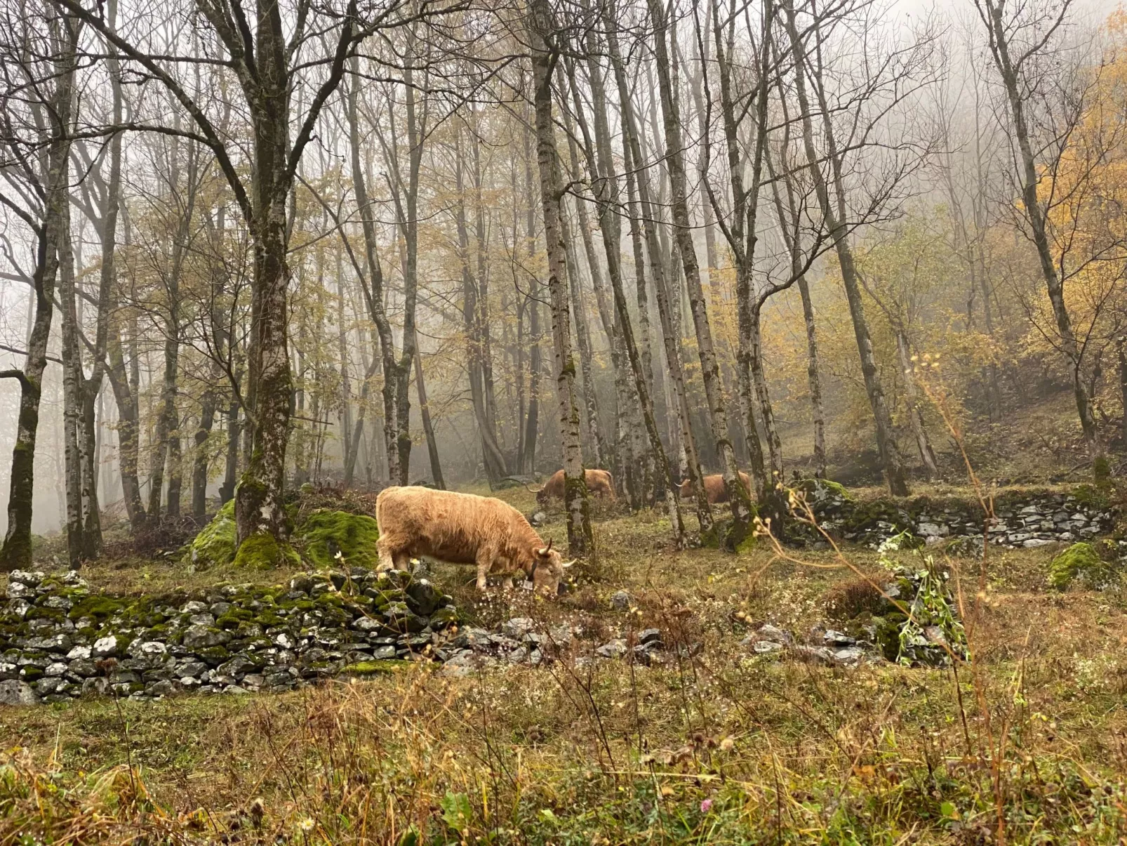 Casa Isabella-Buiten