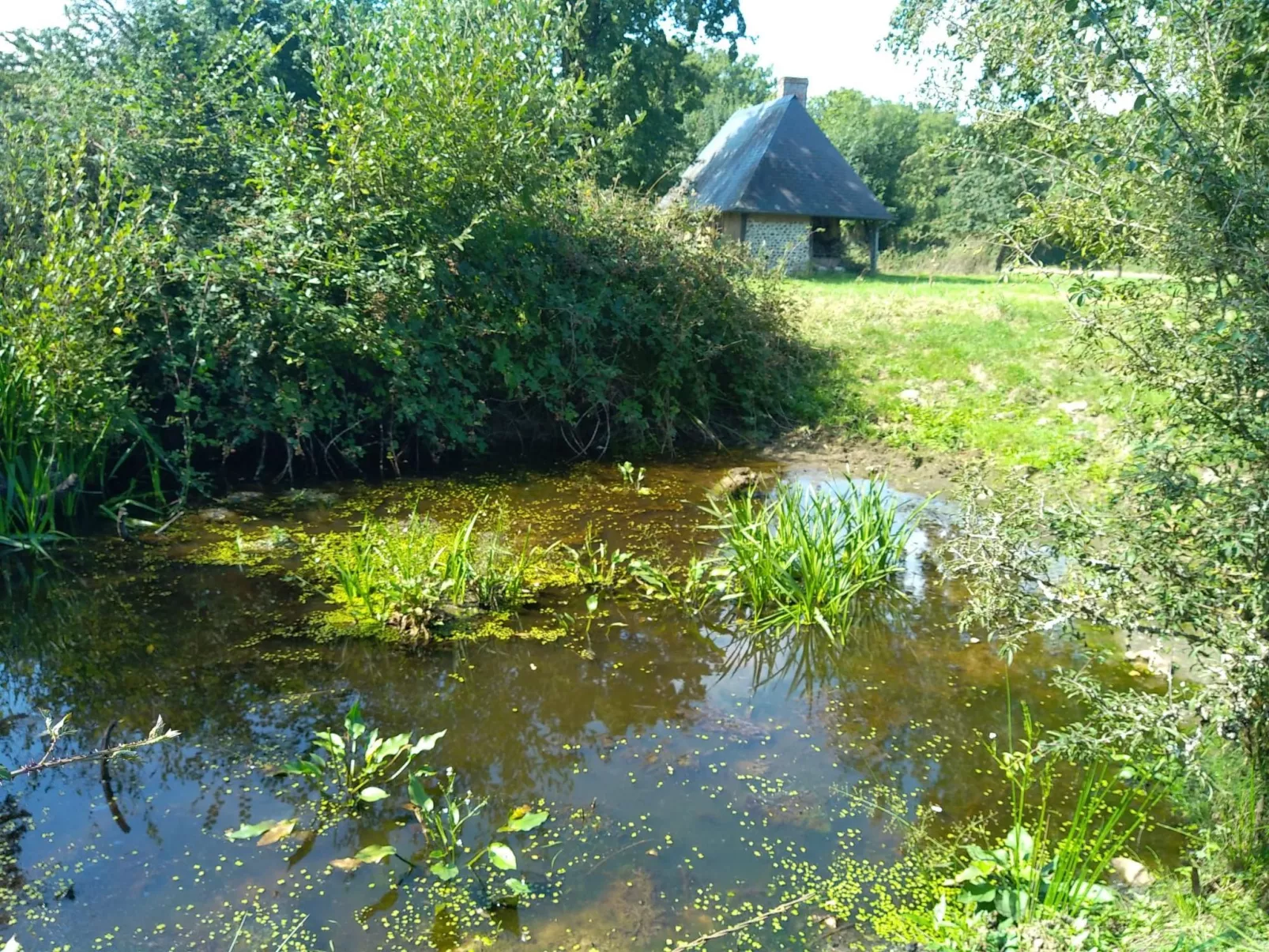 "La Petite Cauvinière"-Buiten