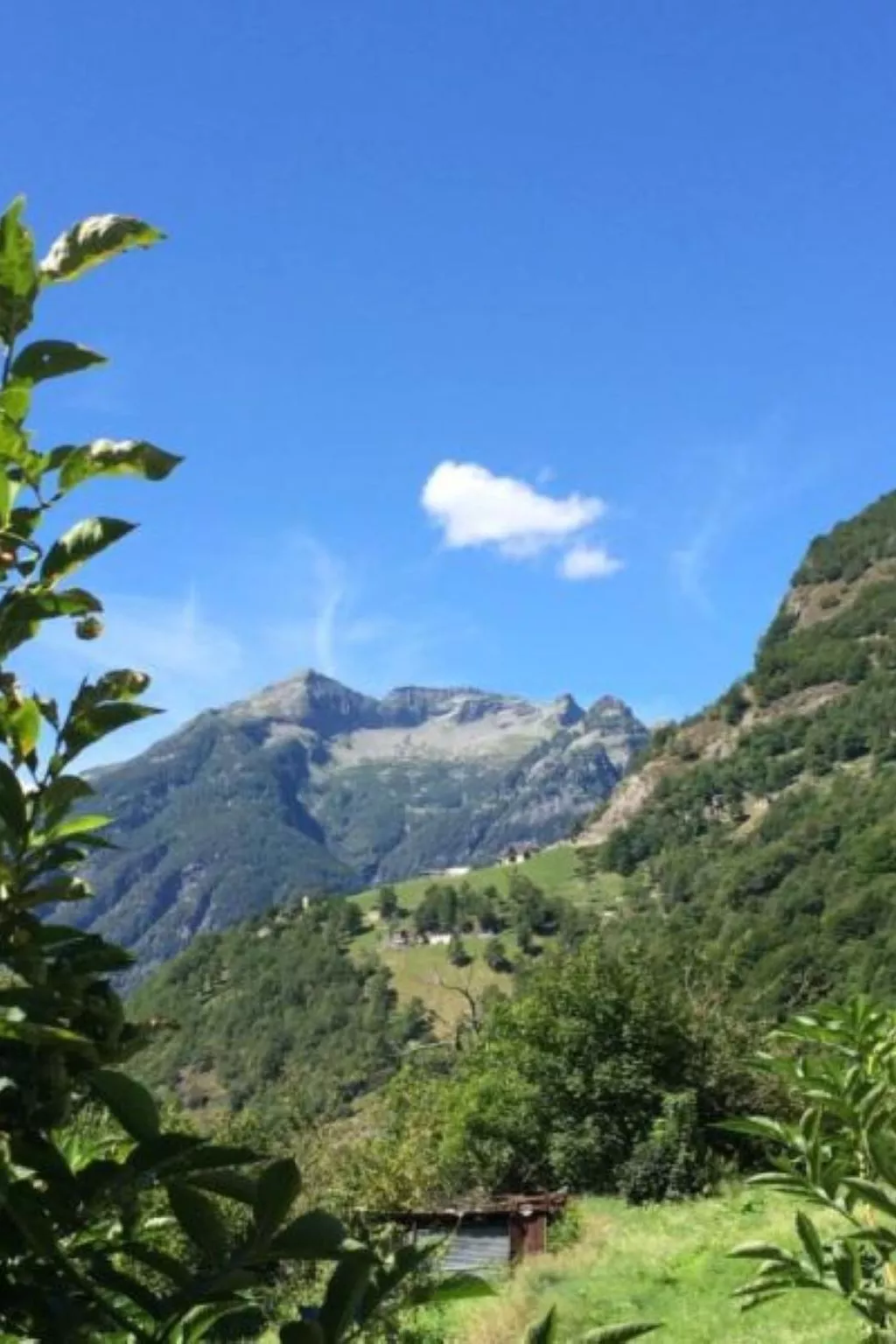 Weg von der Zuvielisation-Buiten