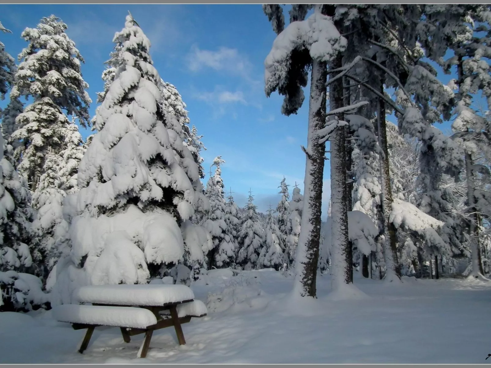 Das Gîte Fleuri mit einer herrlichen Aussicht-Image-tags.info