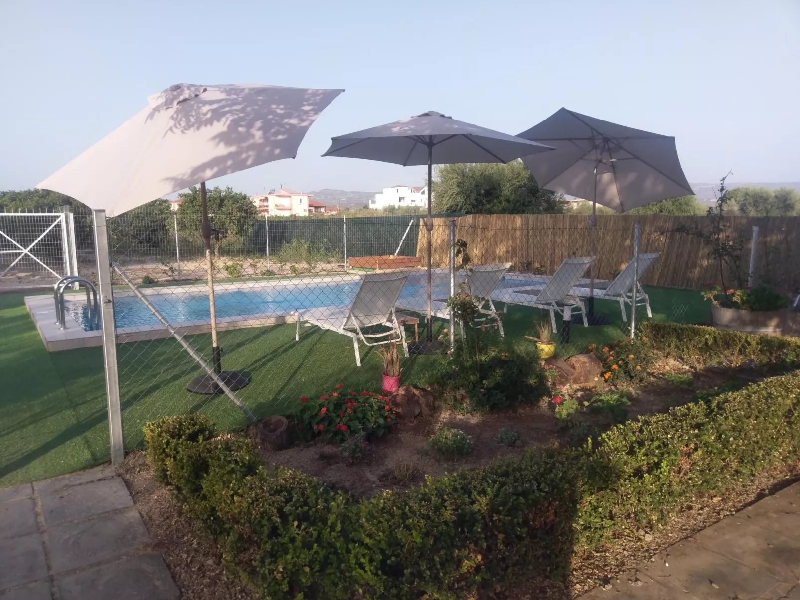 Neben Orangenbaum-Obstgarten-Image-tags.info