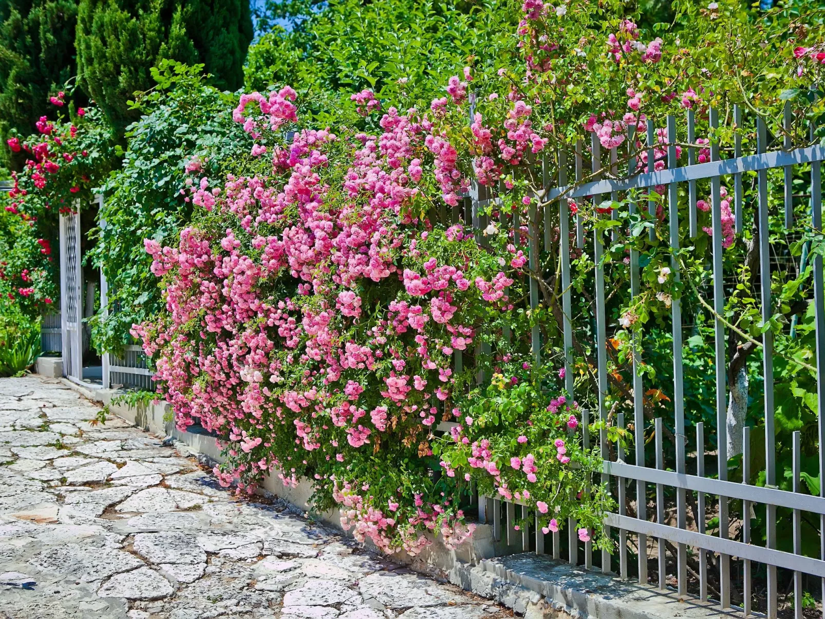 Mit Blick auf das Wasser-Buiten