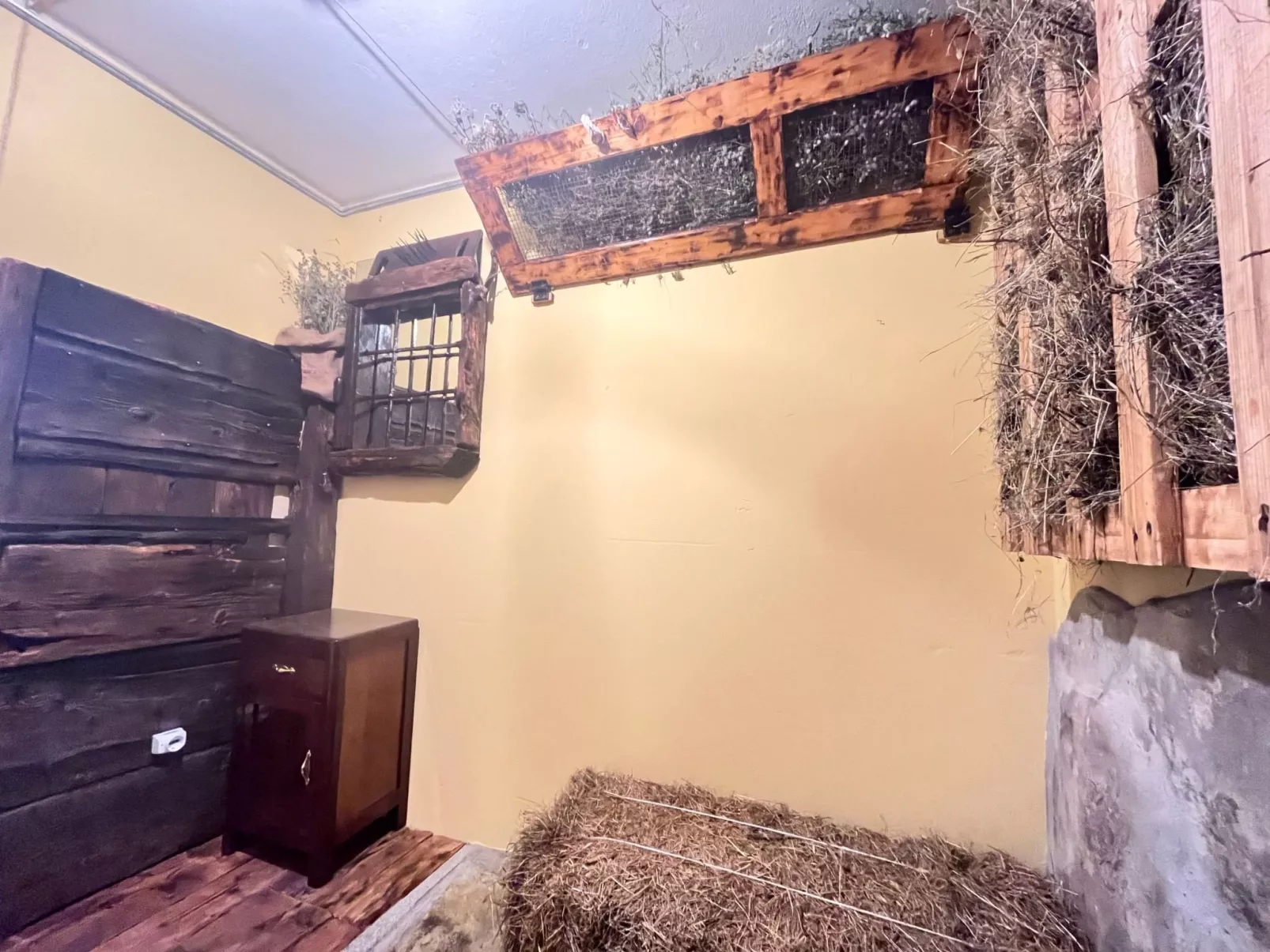 Sorriso Lächeln-Image-tags.info