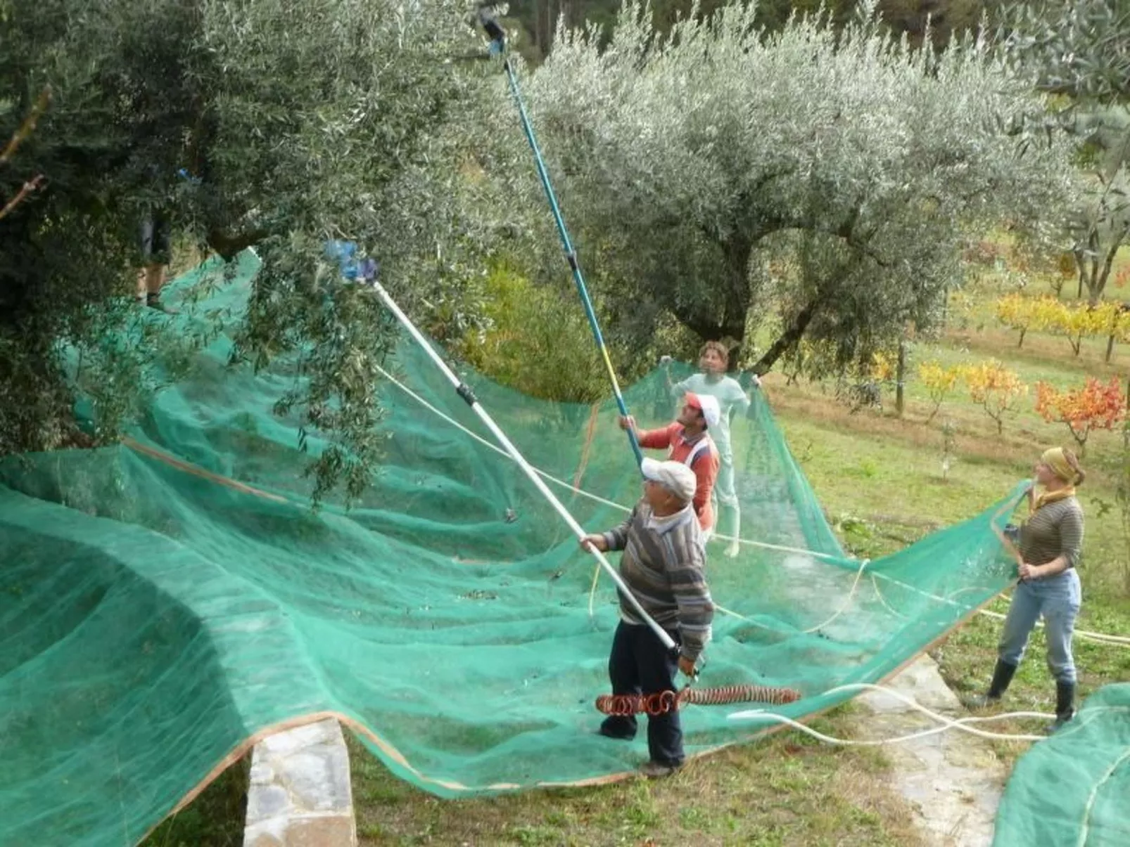 Mit Sonnenterrasse und großem Garten-Buiten