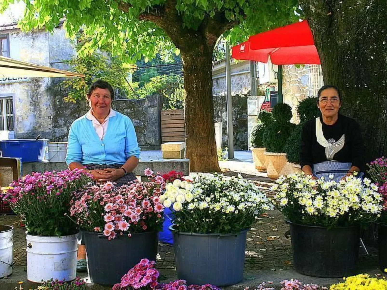 Ländliche Finca "Casa da Rocha"-Image-tags.info