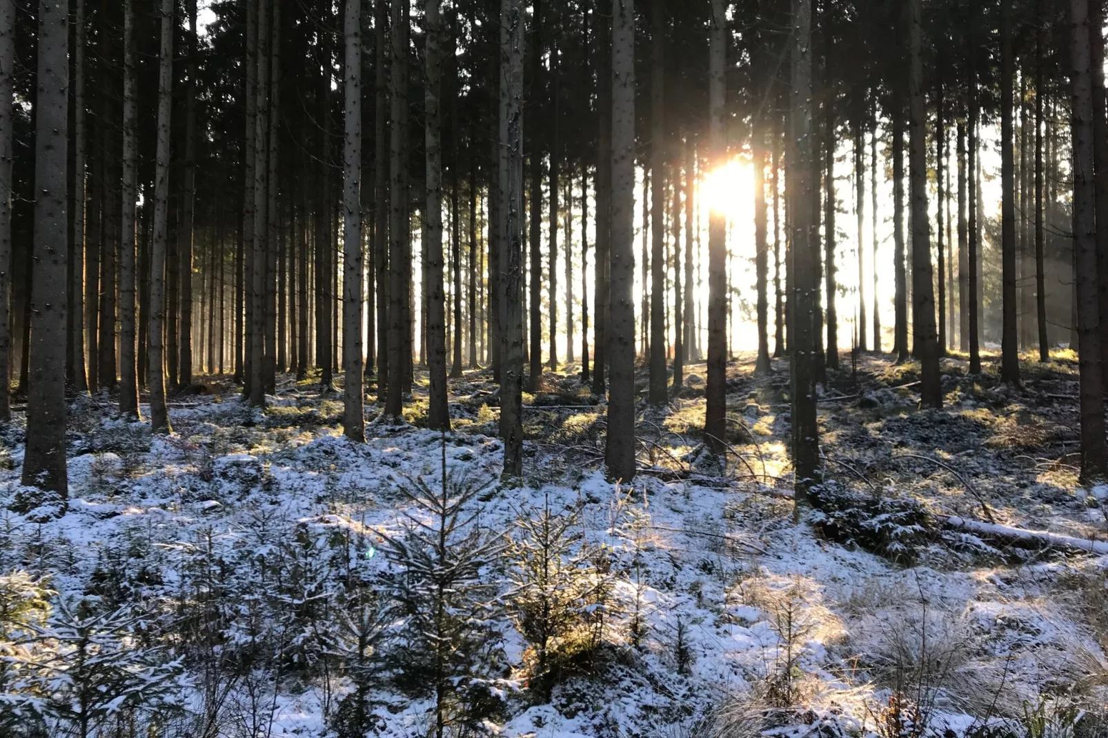 Village de Vacances Oignies 7-Gebied winter 5km